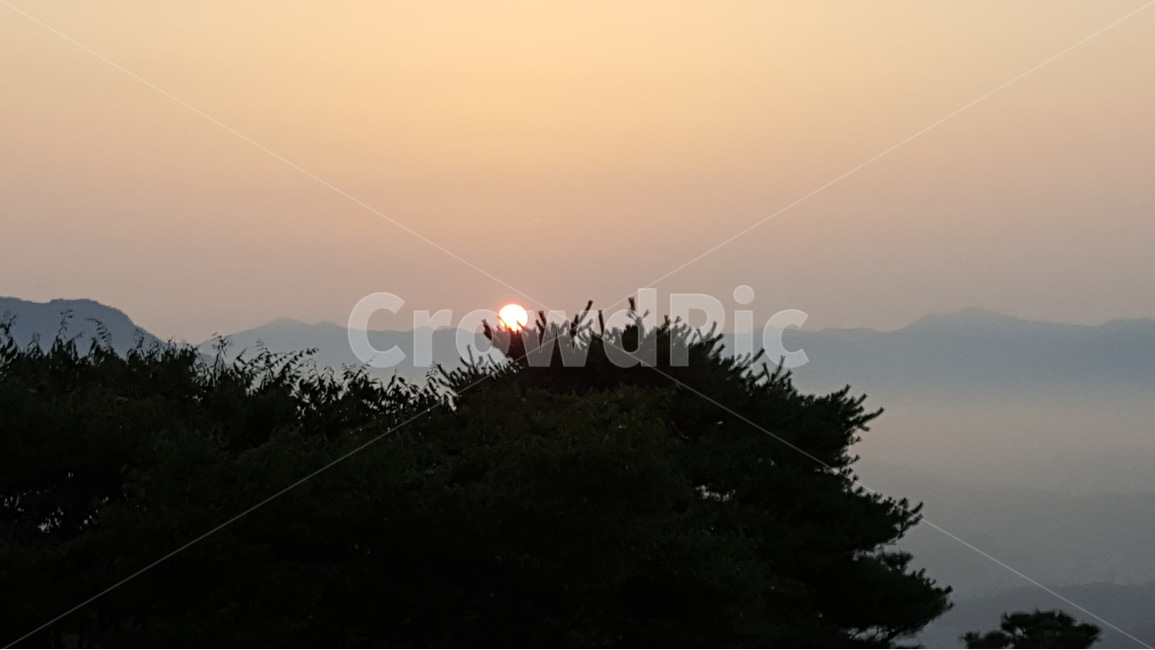 풍경,나무,안개,도시,산,자연,풍경,nature,landscape,한국자연풍경,한국자연경관,korea nature landscape,outdoors,옥외