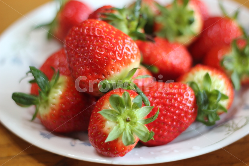 딸기,초록,빨강,접시,아웃포커싱,음식,식재료,요리,food,cook,meal,dishes,food reserves,과일,열매,fruit