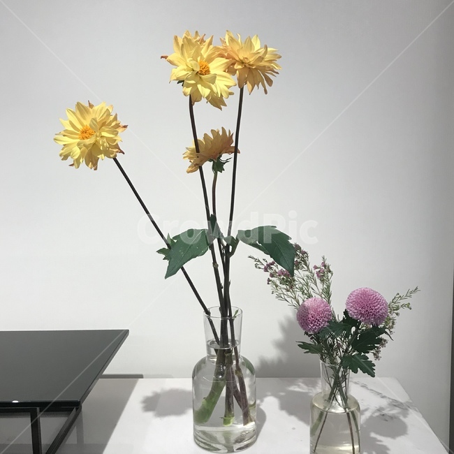꽃,꽃병,장식,노란꽃,flower,yellow