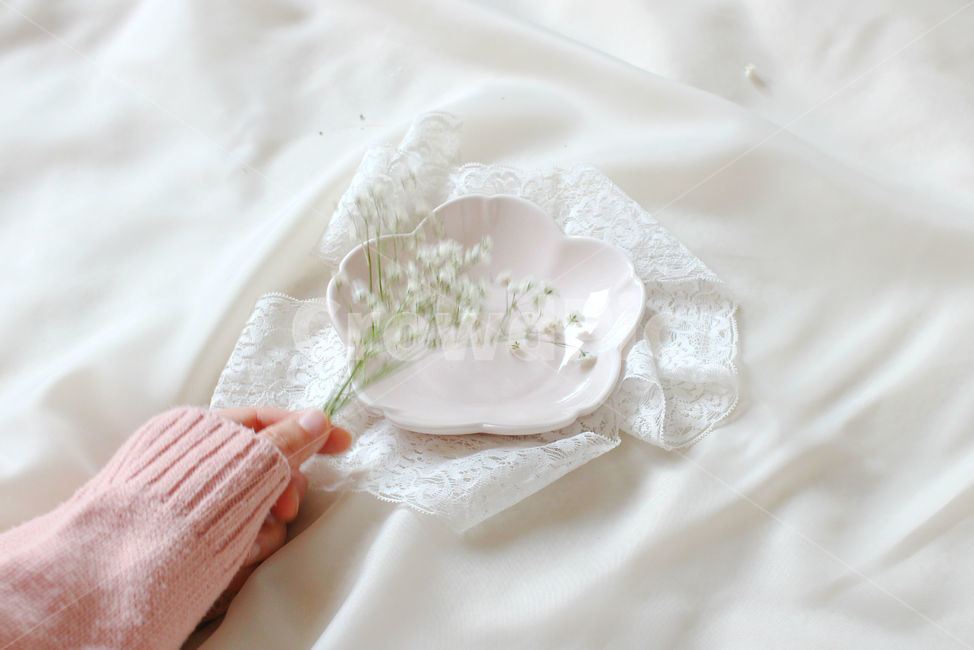 손,꽃,안개꽃,분홍,감성사진,그릇,분홍색,하얀색,pink,white,flower,flowers,레이스,접시,hand,꽃,flower,사람,인물,인간,human,person,신체일부,몸,body,연출,컨셉,콘셉,direction,concept