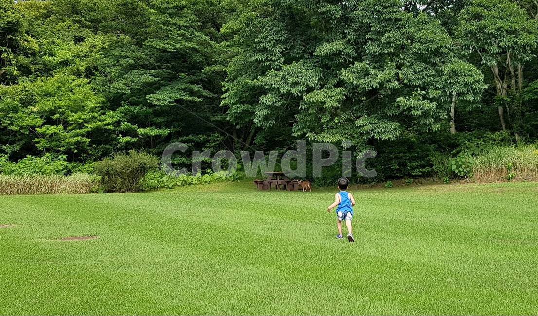 제주도,잔디밭,잔디,숲,아이,아들,들판,자연,나무,자연,풍경,nature,landscape,어린이,어린아이,child,children,kid,grass,plant,식물