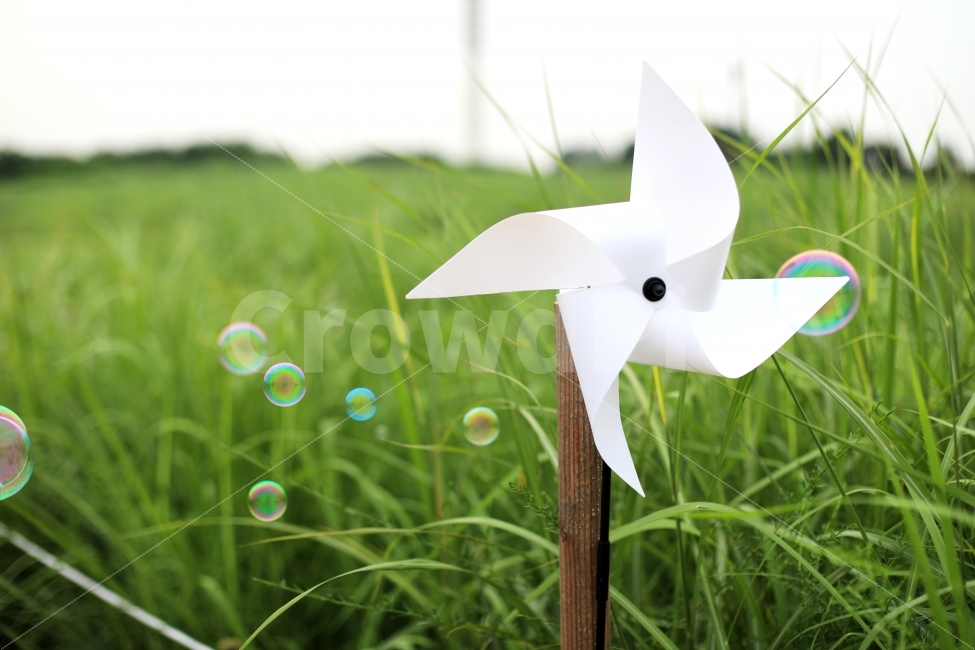 비눗방울,바람개비,하늘공원,pinwheel,bubbles,초록,green,감성,감성,sensible,feeling,사물,물건,오브젝트,thing,object,matter