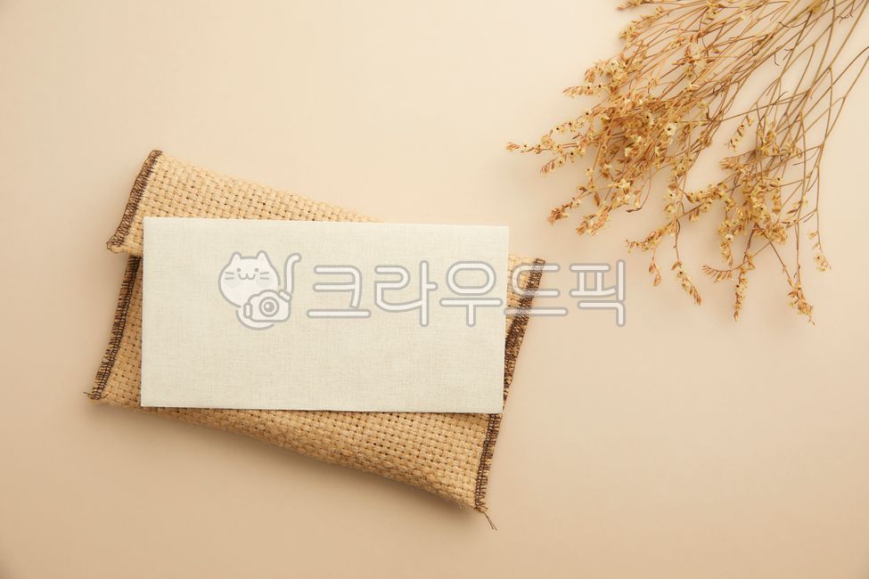 beauty,Botanical,branch,beautiful,pastel,white,botanical,copy space,season,florist,decoration,dried flowers,floral,natural,backdrop,Anniversary,dry,brown,thin,vintage,background,plant,style,autumn,golden yellow,house,interior,flower shop,minimal,modern,fa