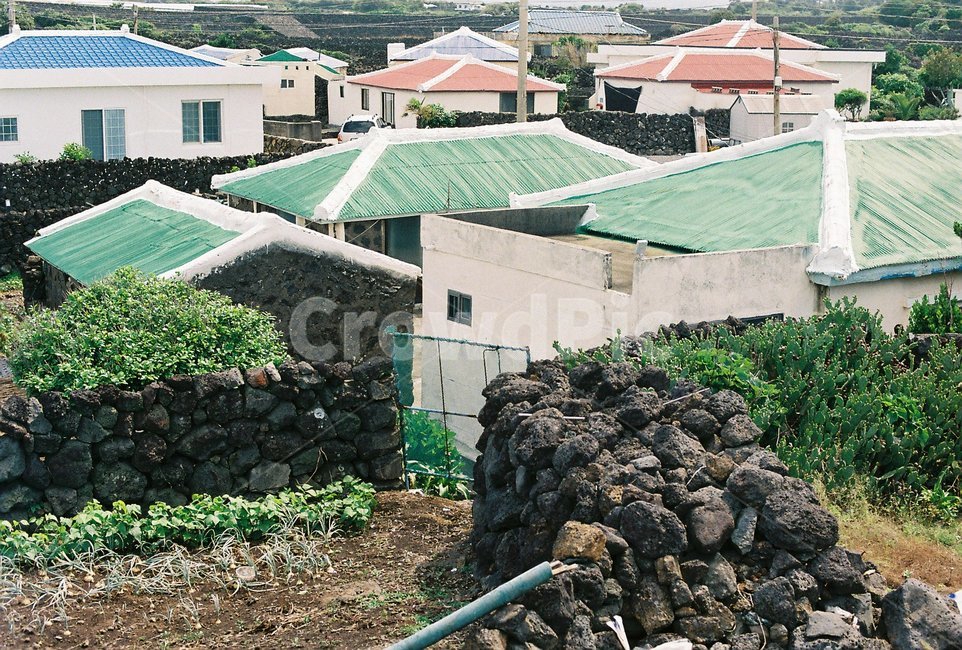 제주도,마을,지붕,돌담,시골,촌동네,감성사진,아날로그,roof,한적한,조용한,필름사진,필름카메라,알록달록,싱그러운