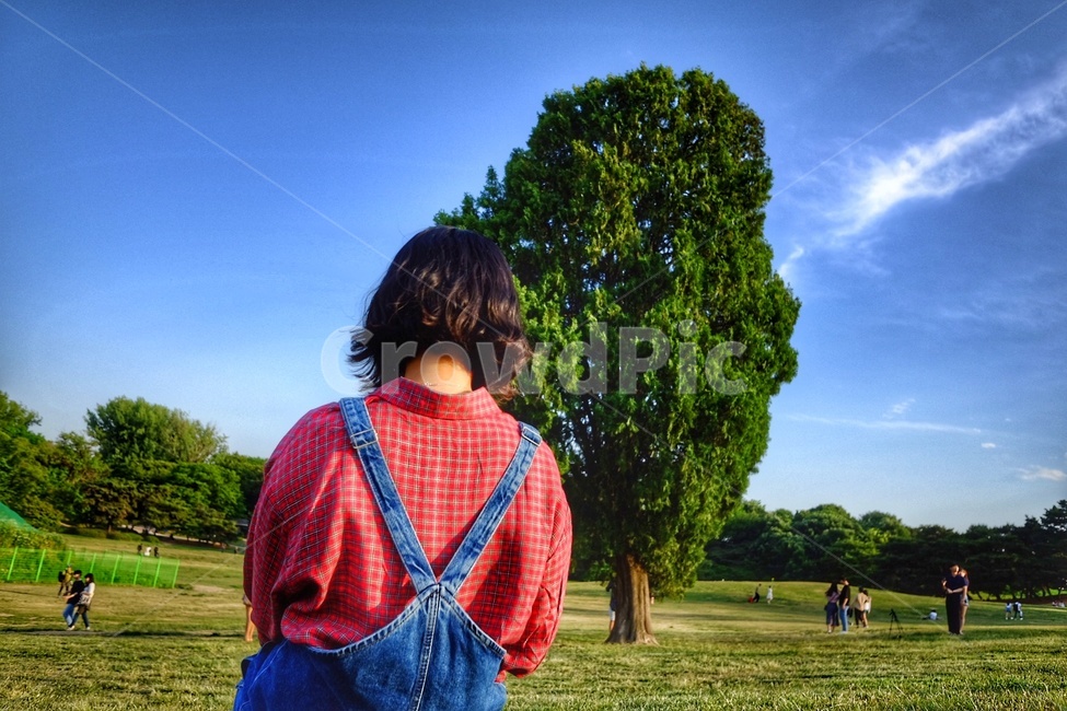 인물,뒷모습,공원,park,단발머리,자연,풍경,nature,landscape,사람,인물,인간,human,person,여성,여자,woman,female,lady,grass,잔디,plant,식물,pants,바지