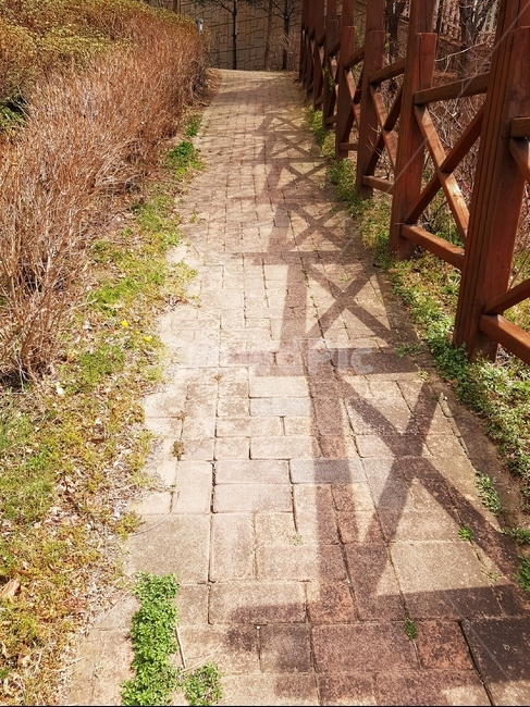 봄,산책,나무,풀,들꽃,산책로,돌계단,하늘,4월,돌길,아파트단지