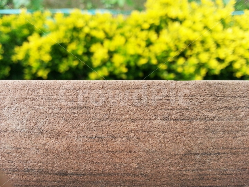 나무,풀,화단,봄,싱그러운,난간,노랑색,꽃,식물,자연,plants,nature,꽃,flower