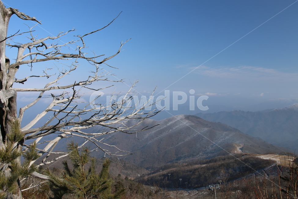 덕유산,산정상,산,자연,경치,겨울
