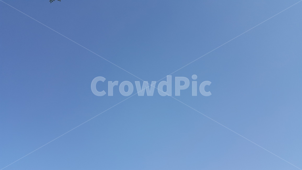 푸른하늘,구름없는하늘,하늘,하늘색,푸른,sky,blue