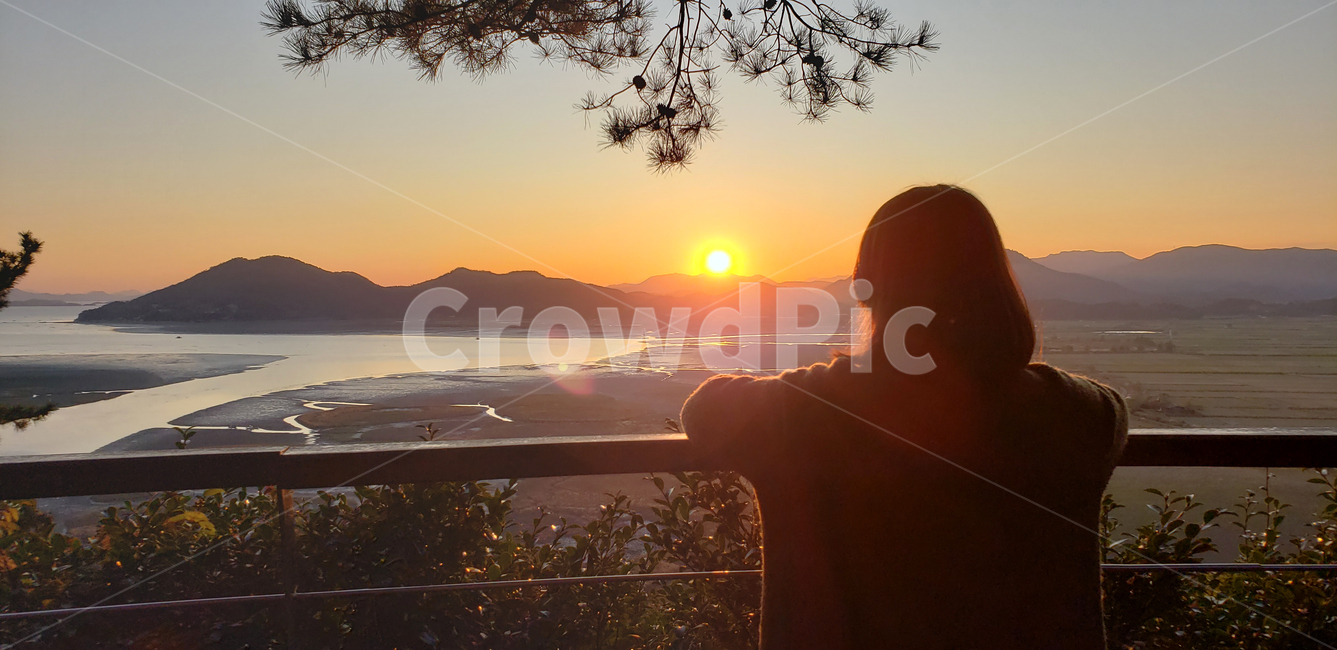 light,sunlight,sunset,순천만,travel,korea,suncheonbay,golden,플레어,flare,scenery,픙경,인간,human,뒷모습,노을