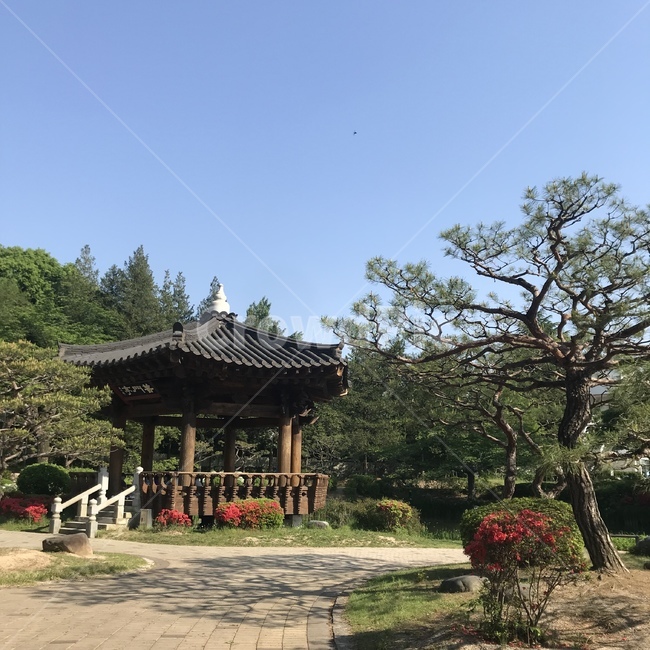 경주,보문정,나무,정자,한국,경상북도