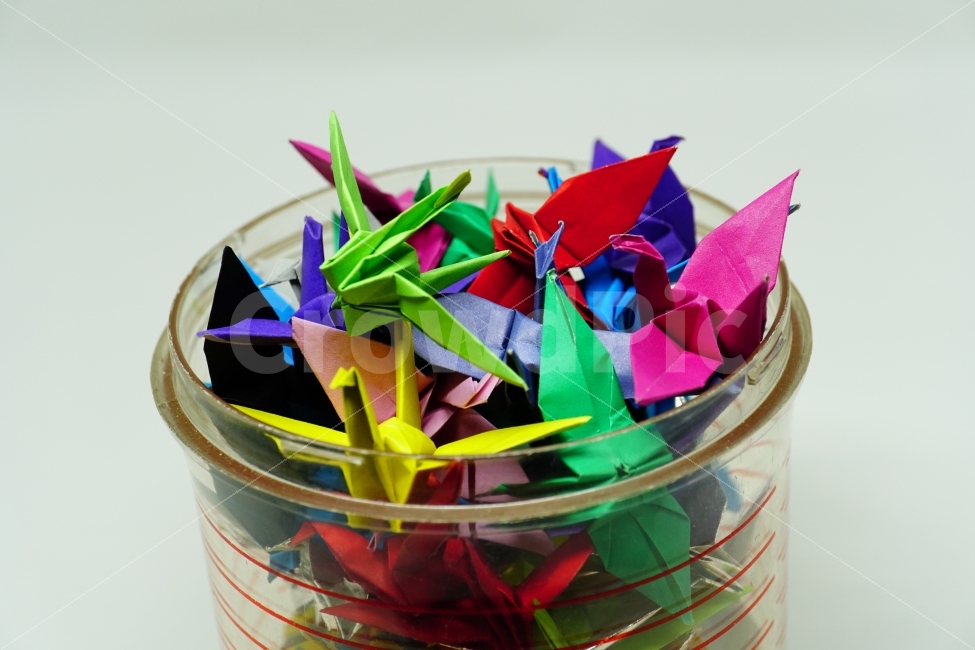 종이학,색종이,종이접기,연출,연출사진,누끼,누끼사진,사물,물건,object,공작,동물,animal,조류,새,bird,짝사랑,첫사랑,그리움,소원,감성,감성사진,힐링,힐링사진,느낌,분위기,간절함,간절한,애타는,마음,희망,사물,물건,오브젝트,thing,object,matter,연출,컨셉,콘셉,direction,concept