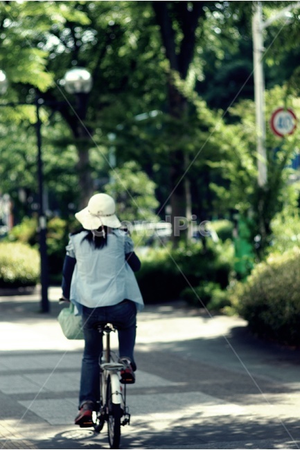 봄,나들이,자전거,spring,소풍,bicycle,인물,사람,날씨,봄,계절,spring,season,사람,인물,인간,human,person,여성,여자,woman,female,lady,transportation,교통,bike,vehicle,차량