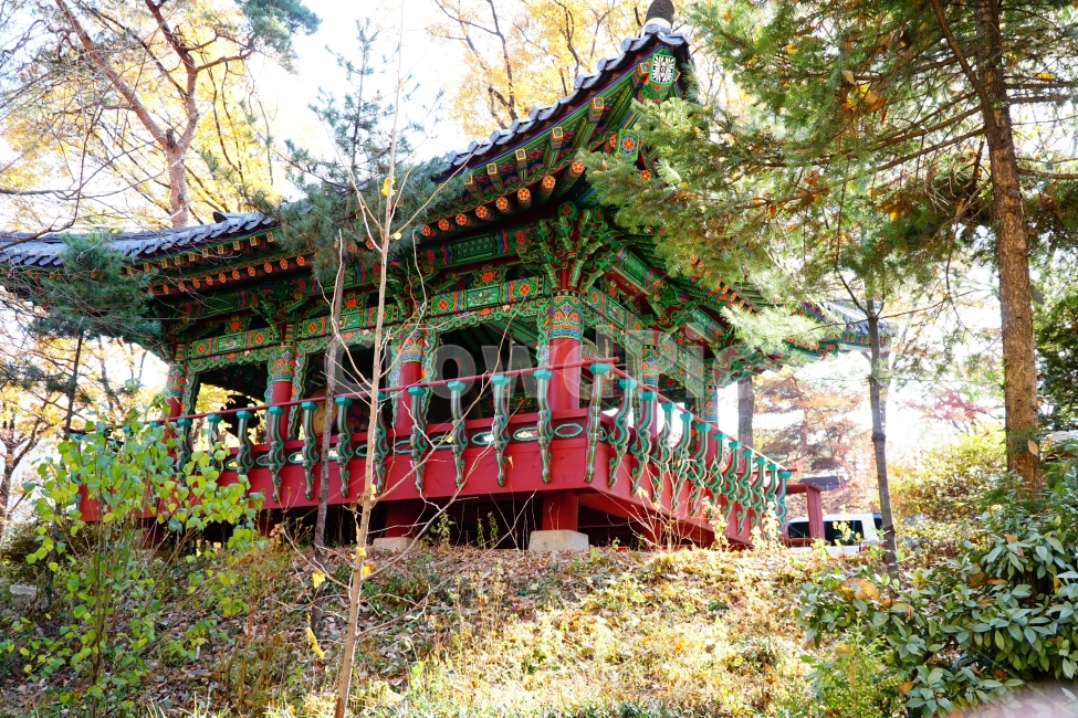 한국,한국전통,한국문화,불교,사찰,절,종교,범종,문화재,전통,문화,korea,서울,seoul,종소리,buddhism,culture,tradition,custom,건물,나무,목조건물,건축,자연,nature,풍경,landscape,tree,역사,히스토리,history,11월,한국적인,한국자연,가을,계절,fall,autumn,season,한국전통,한국문화,korean traditional,korean culture,건축물,건물외관,exterior,building,structure,architecture,construction,temple,신전,worship,예배,shrine,신사,pagoda,탑