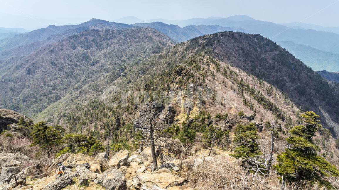 산,지리산,봄,철죽,등산,자연,한국자연경관,한국자연풍경,spring,landscape,koreanaturelandscape