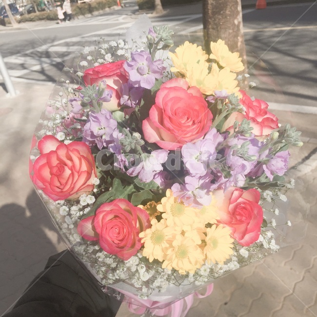 꽃다발,생일선물,장미꽃,안개꽃,프라지아,꽃,flower,기념일,축하,anniversary,congratulation,celebrate,celebration