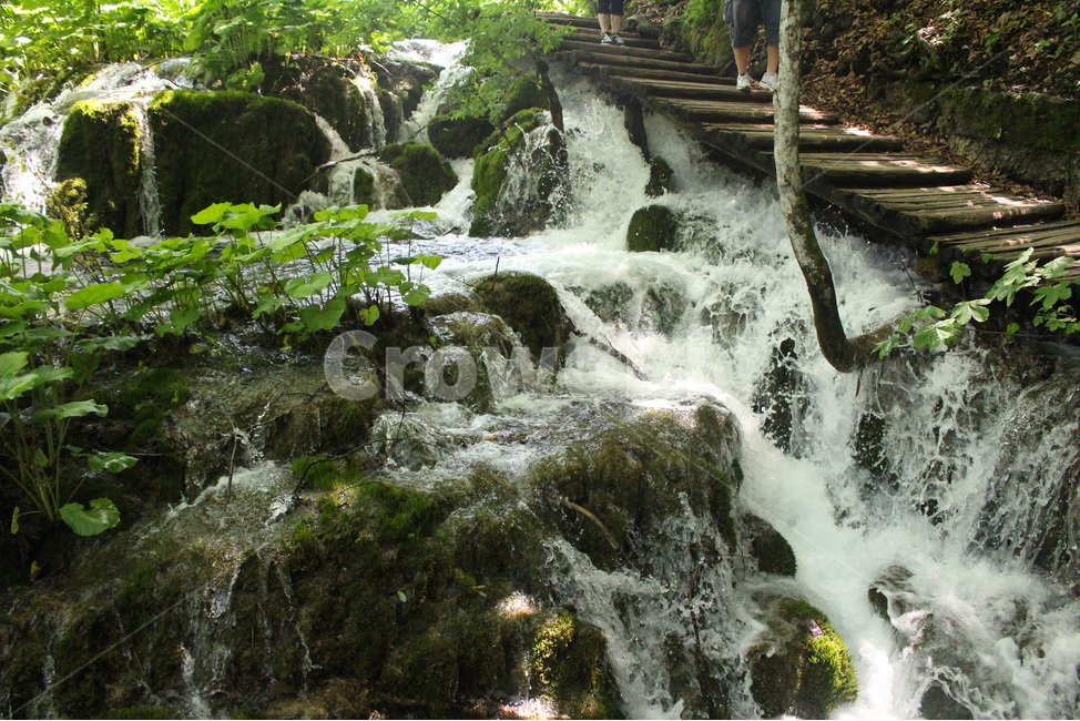 플리트비체,크로아티아,숲,forest,폭포,waterfall,자연,풍경,nature,landscape,해외,외국,세계,foreign,oversea,world,세계자연풍경,해외자연풍경,외국자연풍경,world nature landscape,water,물,river,강,outdoors,옥외