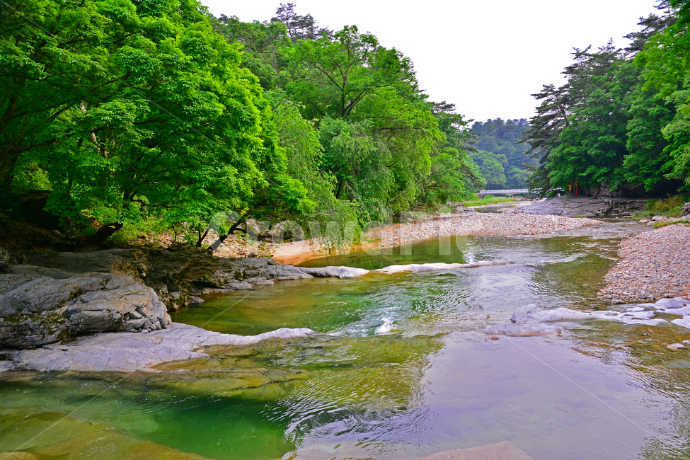 힐링,숲길,자연,계곡,풍경,신록,초록,나무,숲,길,산촌,시즌,계절,그린,forest,season,healing,6월,싱그러운,청정,공기,산소길,air,nature,plant,물,시원한,숲그늘,맑은,무공해,청정지대,오염없는,돌,바위,암석,자연,풍경,nature,landscape,한국자연풍경,한국자연경관,korea nature landscape,water,outdoors,옥외