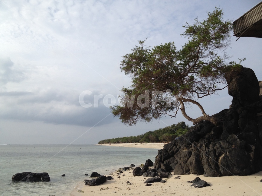 길리,바다,나무,하늘,gili,sea,tree,sky,seaandtrees