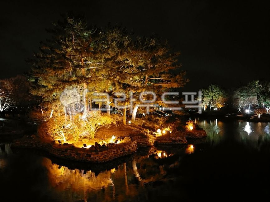 동궁과월지,경주,야경,호수,문화재,건축물,architecture,castle,fort