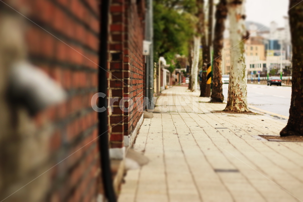길,인도,벽돌,담,울타리,street,brick,wall,fence