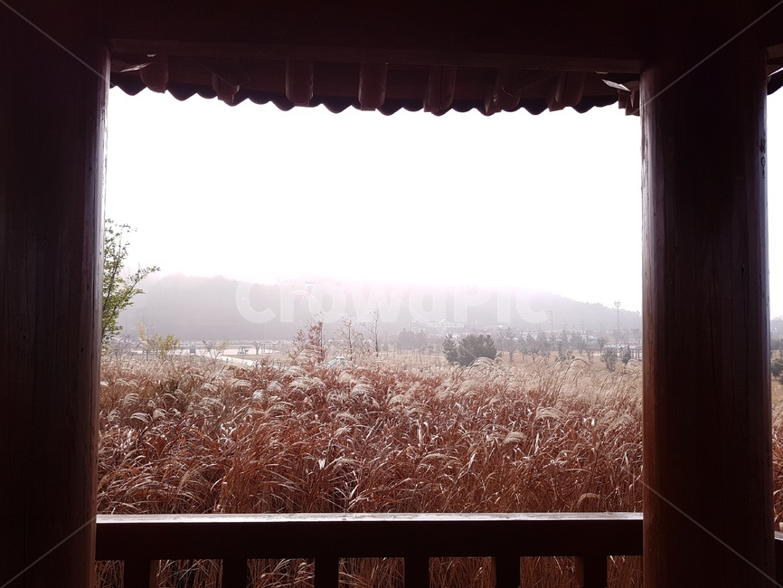 난간,갈대,오두막,하늘,sky,풍경,outdoors,nature,natural,옥외