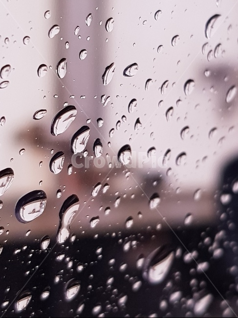 창문,물맺힘,물방울,장마,비,비,비오는날,rain,rainy