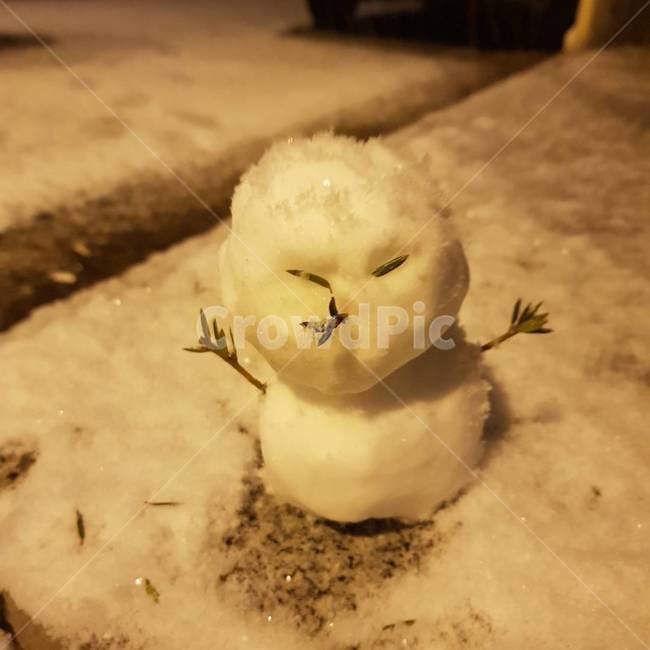 자연,nature,눈,snow,winter,snowman,눈사람,겨울,계절,winter,season