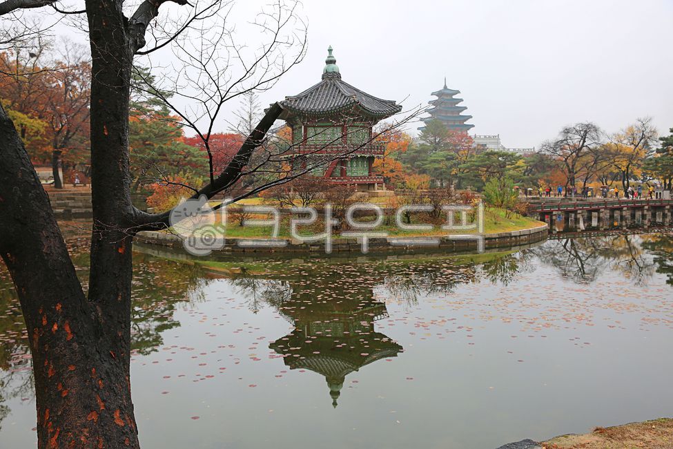 궁궐, 경복궁, 향원정, 단풍, 단풍나무, 사진,이미지,일러스트,캘리그라피 - 길벗2작가