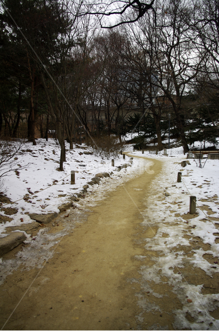 겨울,winter,풍경,설경,눈,길,나무,식물,plant,겨울,계절,winter,season,자연,풍경,nature,landscape