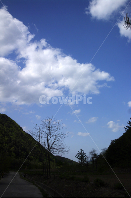 하늘,구름,산,풍경,나무,outdoors,옥외,nature,자연,weather,날씨