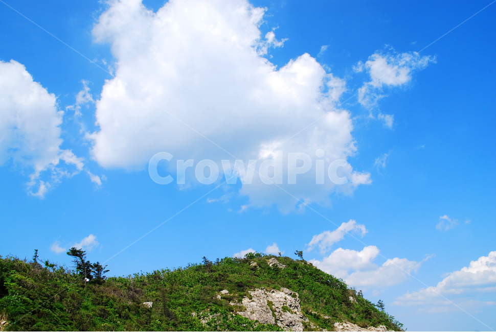 구름,산,능선,하늘,맑음,파랑색,블루,sky,cloud,clean,환경,바탕,배경,백그라운드,푸른,화창한,background,청명,blue,산아래,풍경,landscape,등산,mountain,healing,힐링,뭉게구름,맑은날,높은산,산위에서,한계령,나무,홀로,자연,풍경,nature,landscape,outdoors,옥외,grassland,목초지,field,들