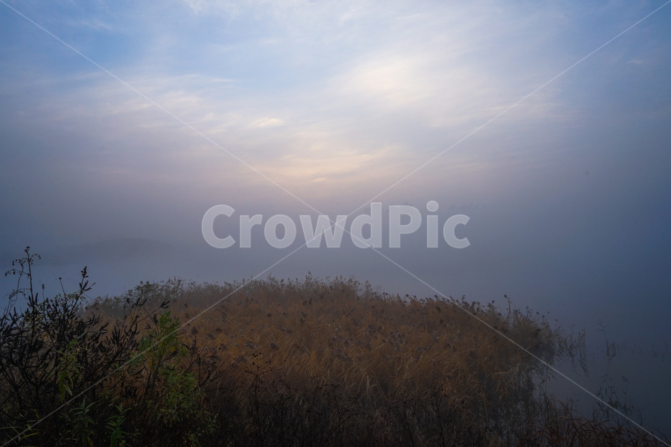 호수,새벽,풍경,안개,물안개,여명,자연,자연,풍경,nature,landscape,outdoors,옥외