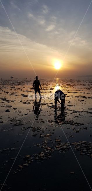 person,사람,human,인간,갯벌,석양,갯벌체험,해,빛,실루엣,그림자,silhouette,shadow,인물실루엣,사람실루엣,character silhouette,human silhouette