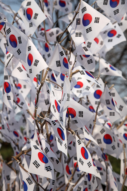 태극기,국기,깃발,휘날리는,펄럭이는,풍경,배경,백그라운드,야외,실외,삼일운동,31운동,31운동,삼일절,31절,31절,광복,광복절,국경일,패턴,여러개,많은,수많은,단체,나무,나뭇가지,서울,한국