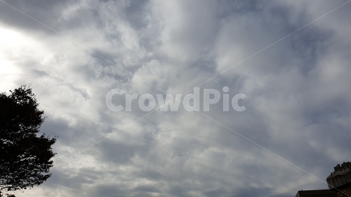 하늘,날씨,구름,적운,자연,sky,weather,cumulus,cloud,nature,옥외,outdoor,구름사이빛,신비로운하늘