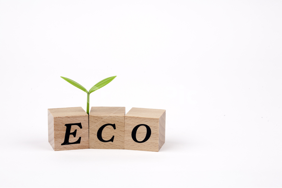 배경,오브젝트,새싹,에코,환경,연두색,그린,재활용,큐브,알파벳,글씨,글자,영문,우드,나무,환경보호,자연보호,누끼,화이트,흰색,이산화탄소,리사이클링,녹색,사물,물건,오브젝트,thing,object,matter,연출,컨셉,콘셉,direction,concept,누끼,remove background