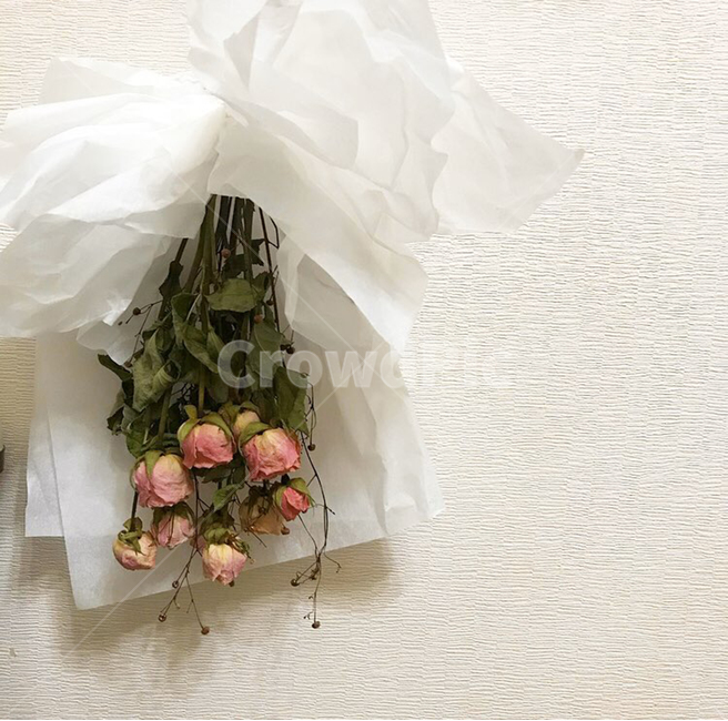 드라이플라워,flower,꽃,장미,rose,부케,결혼,dry,dryflower,pink,분홍,핑크,잎,종이,paper,벽,흰색,white,거꾸로,반대,그림자,식물,plant,blossom,flowerarrangement,꽃꽂이,flowerbouquet,꽃부케,말린
