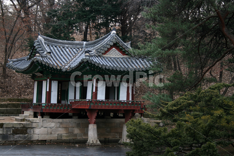창덕궁,후원,부용정,부용지,세계문화유산,문화유산,한국,한국전통,한국문화,korean traditional,korean culture,랜드마크,landmark,tourist attraction,한국랜드마크,한국관광지,한국명소,korea landmark,korea tourist attraction