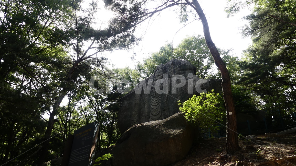 불상,자연휴양림,여래입상,천안,삼태리,마애여래입상,불심,종교,기도