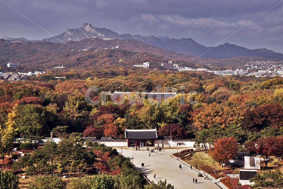 세운상가,종로,아케이드,종묘,서울도심풍경,가을,단풍,계절,자연,종로3가,가을,계절,fall,autumn,season,한국도시풍경,한국도시경관,korea cityscape