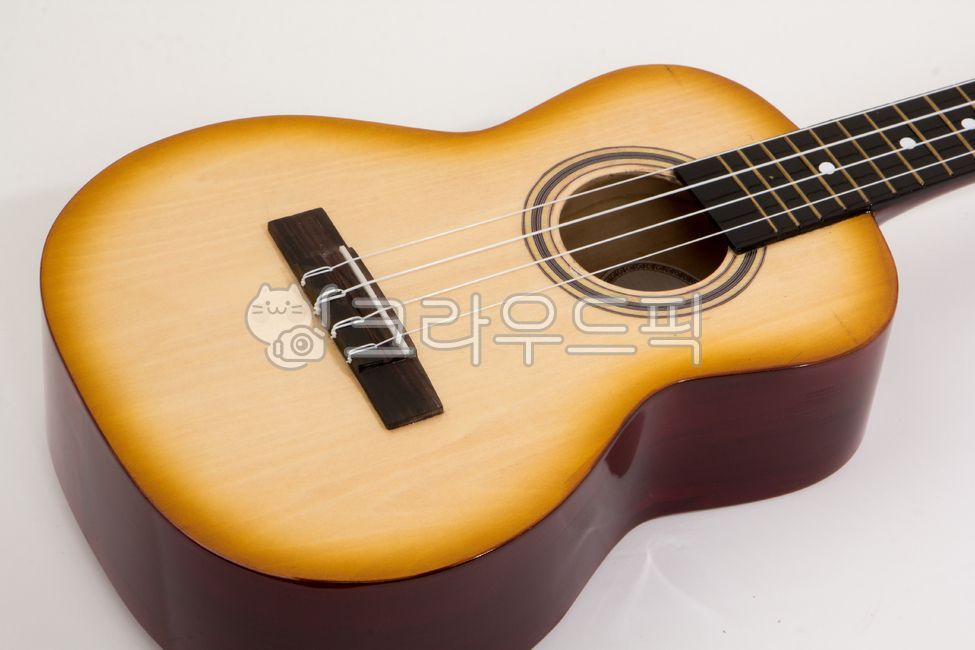 guitar,악기,musicalinstrument,우쿨렐라,우쿨렐레