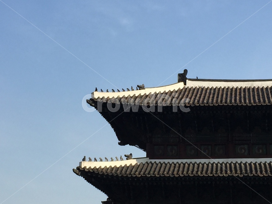 동대문,한국,문화재,남대문,한옥,한국전통,한국문화,korean traditional,korean culture,건축물,건물외관,exterior,building,structure,architecture,construction