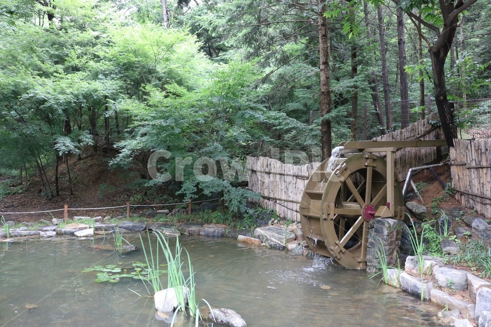 물레방아,물,자연,식물,나무,초록,water,nature,plants,tree,green,mizu,shokubutsu,ki,midori,인천대공원,자연,풍경,nature,landscape,machine,기계,wheel,바퀴
