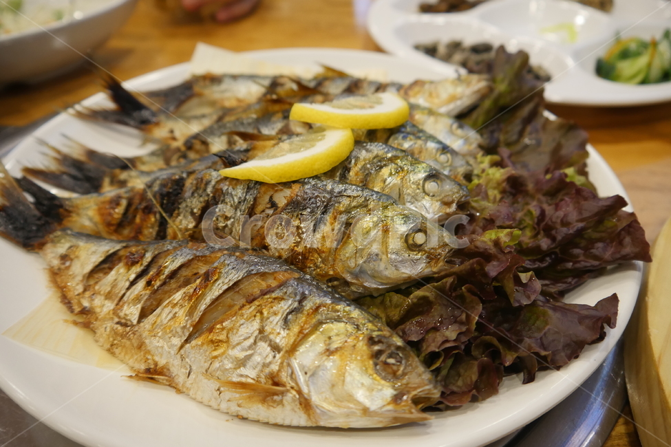 가을,전어,음식,생선,구이,가을전어,생선구이,food,fish,회,횟집,음식,식재료,요리,food,cook,meal,dishes,food reserves,수산물,해산물,fishery products,seafood