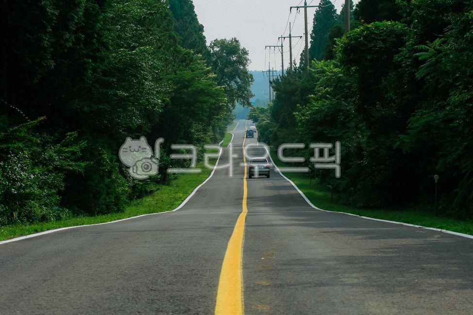 제주도,도로,숲길,숲속도로,쭉뻗은도로,지평선