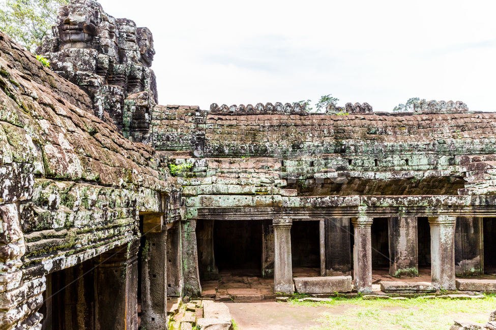 Cambodia,ancient architecture,nature,Historic sites,tree,statue,relics,employee,building,Temple,plant,sight,Tourist destination,land mark,Emotion,Angkor Wat
