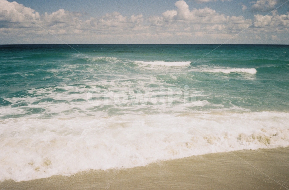 wave,바다,동해바다,동해,여름바다,sea,film,konicapop