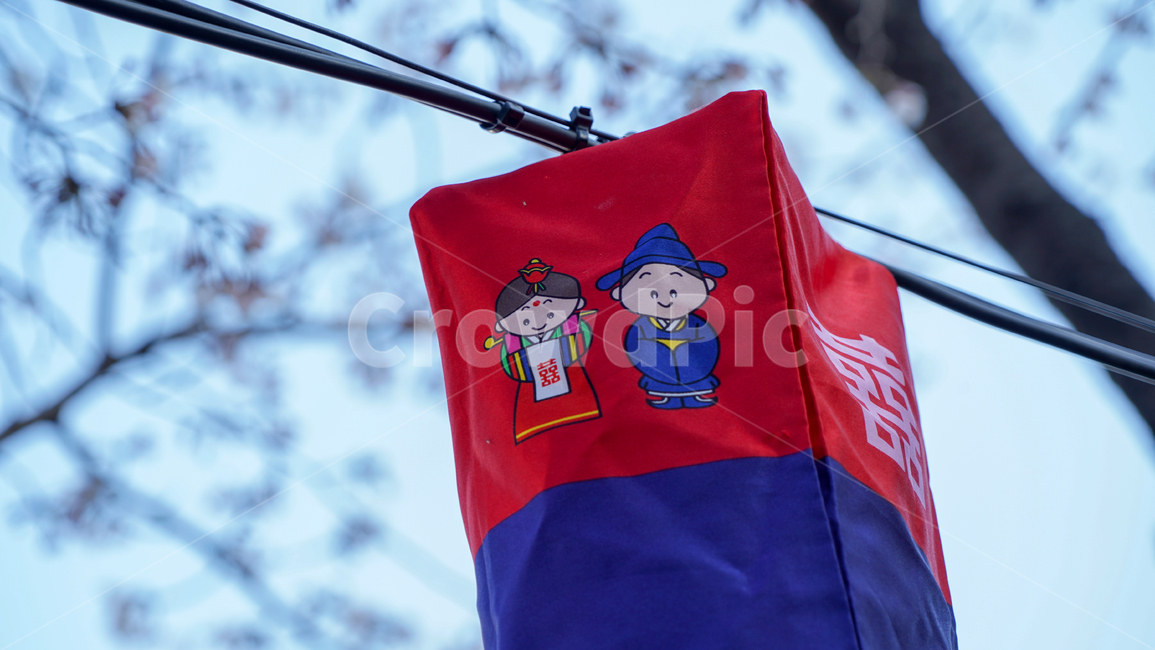 flower,봄,꽃,벚꽃,감성,하늘,spring,계절,한국전통,한국문화,korean traditional,korean culture