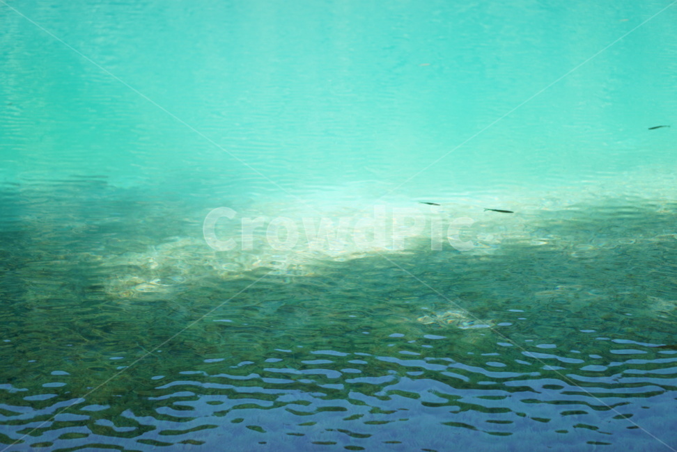 플리트비체,water,river,outdoors,물,강,자연,폭포,waterfall,호수,rake,크로아티아,croatia,plitvice,nationalpark,세계자연풍경,해외자연풍경,외국자연풍경,world nature landscape,옥외,nature